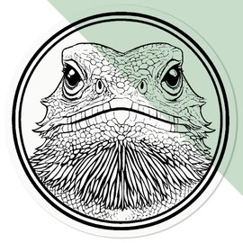 Medium 100mm 'Bearded Dragon in Circle Frame' Transparent/Clear Sticker Decal for Windows/Cars/Walls (DC00140301)