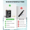 ETENWOLF P300 Electric Ball Pump