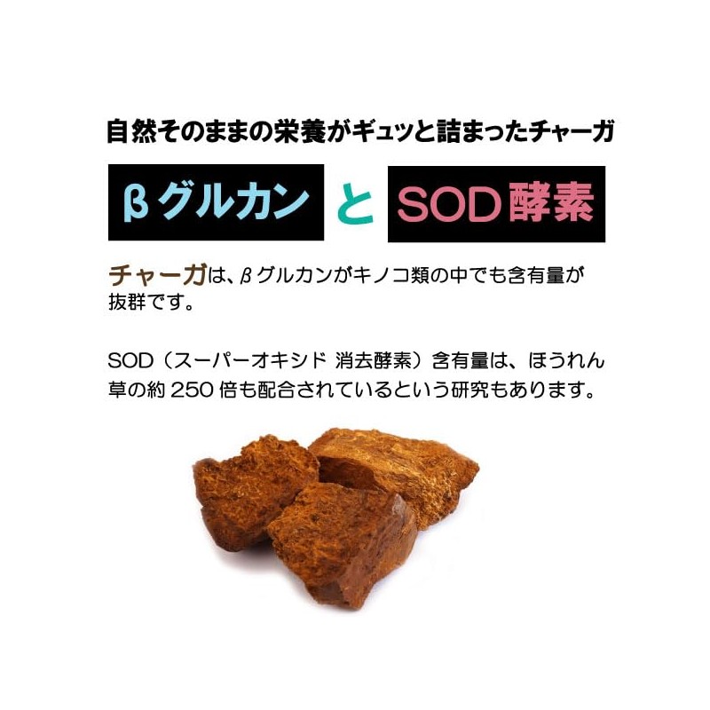 健康プラス チャーガ丸 粒タイプ 韓国 サプリメント カバノアナタケ 桑の葉配合 2600粒入り 200g