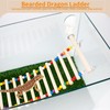FlidRunest Bearded Dragon Window Ladder with 2 Sturdy Suction Cups,