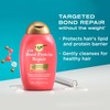 OGX Bond Protein Repair Shampoo, 385 ml