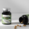트리플징코플러스 1병 복수구매할인 Triple Ginkgo Plus 1 Bottle Bulk Purchase