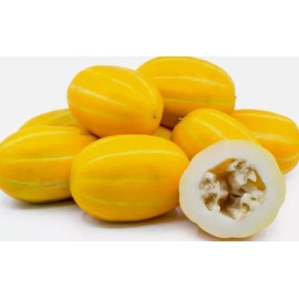 Carolina Tropical Korean Musk Melon Seeds Gold Chilosan Melon Rare 25 Seeds