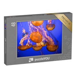 puzzleYOU: 48 Piece Jigsaw Puzzle - Lots of Jellyfish Against a Blue Sea Background, Upside Down - From the Underwater Puzzle Collection