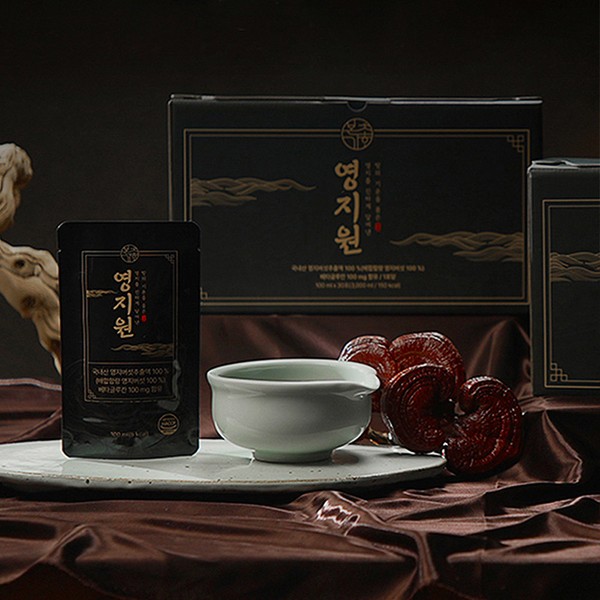[On Sale] Herbal Chogahoe Luxury Youngjiwon Reishi Mushroom Extract, 60 Packets / [온세일]본초가회 명품 영지원 영지버섯 액기스 진액, 60포