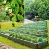 Sukh Bird Netting for Garden 13x33ft - Sukh Garden Netting
