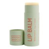 Noosa Basics Organic Lip Balm - Watermelon, 15g