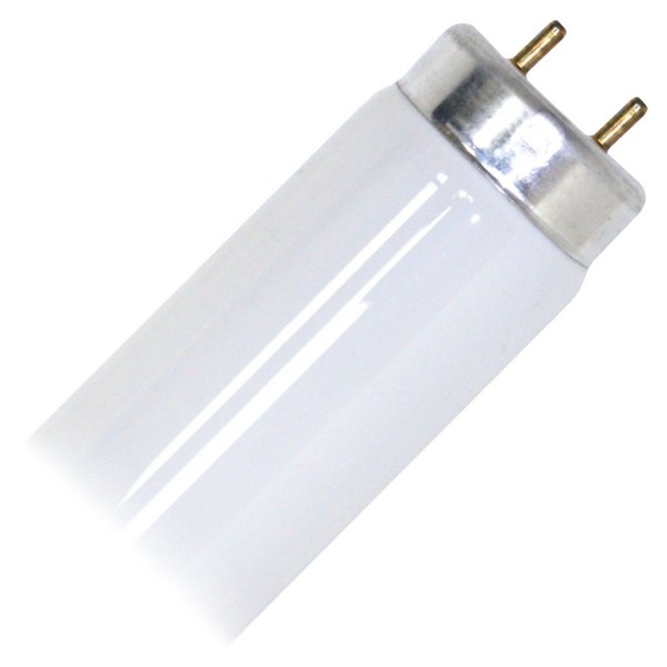 Pro-Start 02010 - F20T10/CW Straight T10 Fluorescent Tube Light Bulb