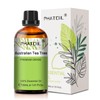 Australian Tea Tree 1.01fl.oz Essential Oil, PHATOIL Pure Aromatherapy Oils