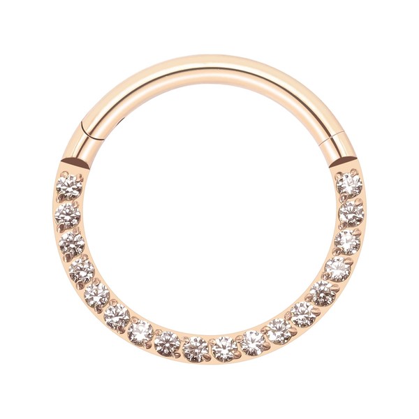 BLISI G23 Titanium Nose Rings Hoop Septum Clicker 16G Hinged