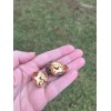 Patrick Creek Farm Texas Native Pecan Tree Seeds 20 Fresh