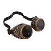 P 'tit clown 69100 Steampunk Glasses, One Size