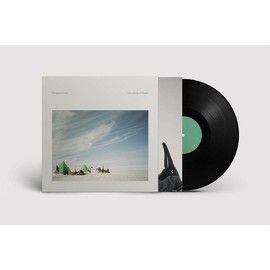 Handfuls Of Night [VINYL]