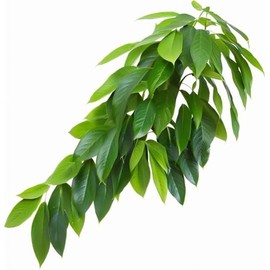 ReptiKing Reptile Terrarium Hanging Plant, Fake Plants for Reptile Enclosure, Ideal for Chameleon Bearded Dragon Lizard Leopard Gecko Crested Gecko Snake Tank Accessories, L=12 inches