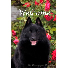 Schipperke - Best of Breed CEFK Welcome Photo Garden Flag