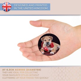 Destination Vinyl ltd Magnet for Refrigerator, Fridge - Cute Headphone Puppy Dog for Office, Cabinet and Whiteboard, Magnetic Stickers, 3342