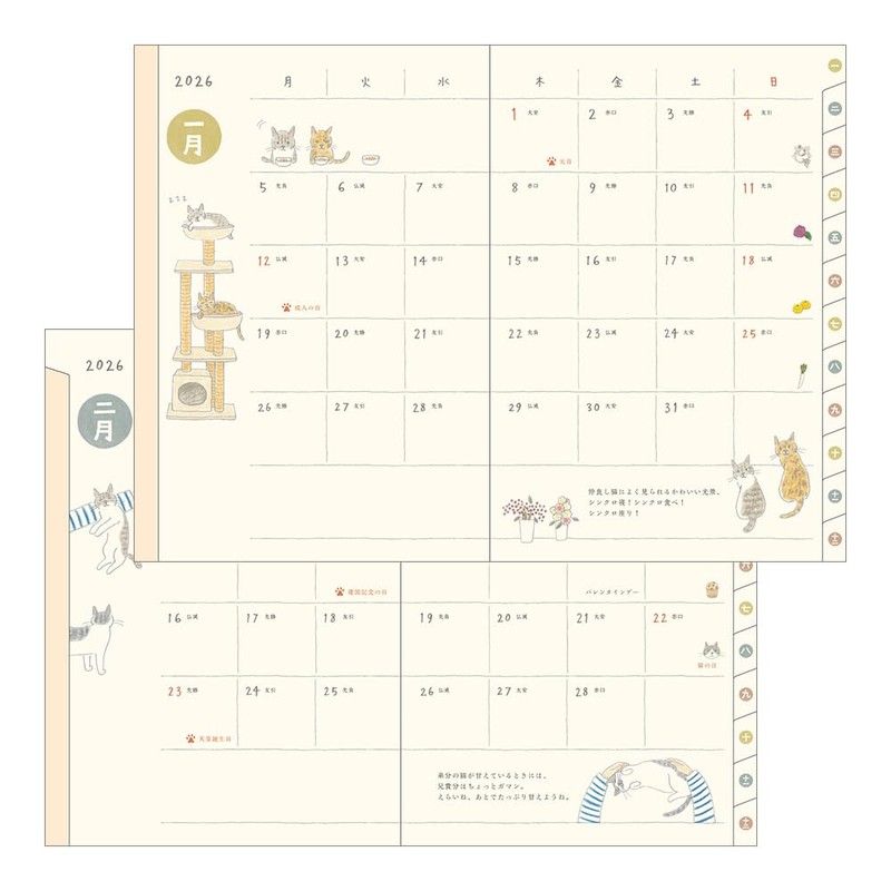 Midori Pocket Diary 2026 B6 Weekly Cat Pattern 22373006 (Starting