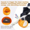Hyzone Multi-Functional Dog Vocalizing Biting Teething Balls, Outdoor Interactive Teething