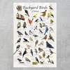 Where's Wildlife Backyard Birds of Iowa Bird Identification Poster (16"