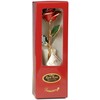 Pearl White 24k Gold Rose - Real Rose Dipped in