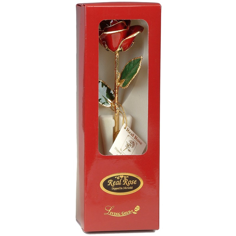 Pearl White 24k Gold Rose - Real Rose Dipped in