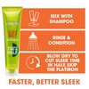 Garnier Hair Care Fructis Sleek Shot In-shower Styler, 5.1 Fluid