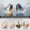 DJAPWPX-Crystal Bird Figurines Decorative Bird Statue Beautiful Crystal Bird Decor