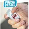 PaperMints Cool mint strips 3 x packs of 24 strips