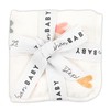 Stephan Baby 2-Piece Washcloth Set - Soft 100% Cotton Velour