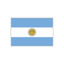 Womaha 30 Temporary Argentina Flag Tattoos Fans Face Tattoo Stickers for Adults Kids Group Activity Props