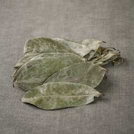 인도네시아 그라비올라 600g 건 건조 잎 차 Indonesian Graviola 600g Dried Leaf Tea