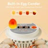 No Brand Egg Incubator with Temperature and Humidity Control, Automatic