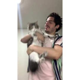 Premios Para Gatos Snack Lamible Churu Sabores Mix 24pzs