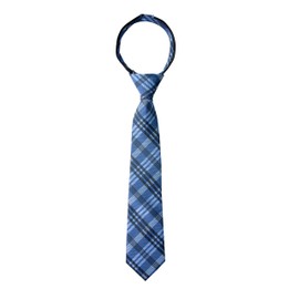 Spring Notion Boy's Plaid Woven Zipper Tie Blue Medium