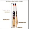 SS Kashmir Willow Leather Ball Cricket Bat, Exclusive Cricket Bat