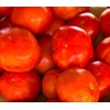 Markie’s Mom Tomato Heirloom Premium Seeds for Planting Packet