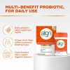 Align Probiotic Supplement 14 Count (packaging May Vary)