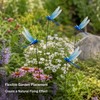 12-Pack Blue Dragonfly Garden Decorations – Realistic Clip-On Outdoor Accents