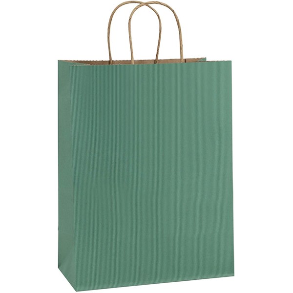 BagDream Gift Bags 10x5x13, Green Stripes Kraft Paper Bags 25Pcs Shopping Bags, Mechandise Bags, Retail Bags, Party Bags, Paper Gift Bags with Handles, 100% Recycled Paper Bags