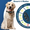 Petmarket Dog Bark Collar for Large Medium Small Dogs 8-150lbs,
