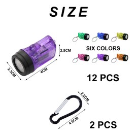 12 Pcs Mini Flashlight Keychain Torch Mini Lamp Practical Toy for Kids Suitable for Outdoor and Night Emergency with 2 Pcs Black Carabiners