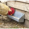 Jake's Farm Yard Chicken and Poultry Feeder Trough and Wall