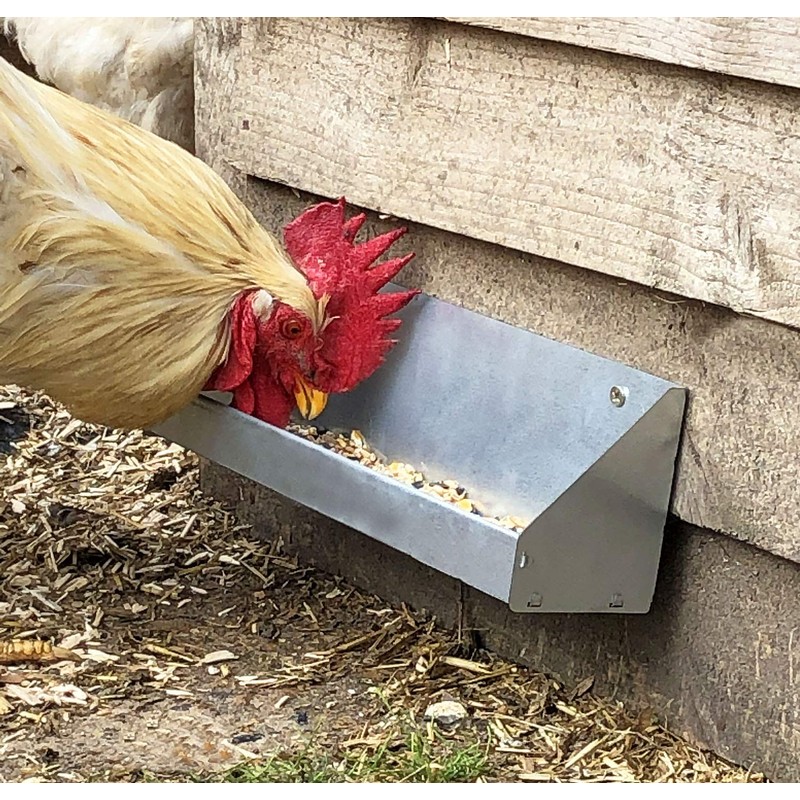 Jake's Farm Yard Chicken and Poultry Feeder Trough and Wall
