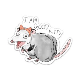 (3PCs) I Am Good Kitty Possum Sticker, Funny Opossum Sarcastic Animal Meme Decals Waterproof Vinyl Stickers for Laptop Water Bottle Scrapbooking Journaling Planner, Funny Gifts for Her (3 Inches)