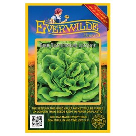 Everwilde Farms - 1000 Bibb Lettuce Lettuce Seeds - Gold Vault Jumbo Seed Packet