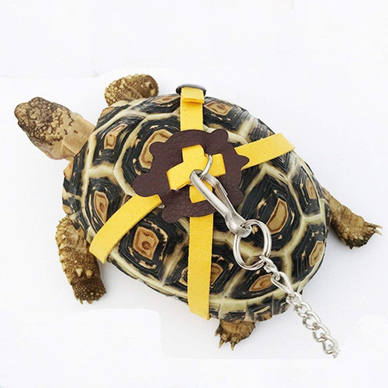 Tortoise Harness Strap, Adjustable Control Over The Head Lizard Body