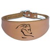 Dog Collar Italian Greyhound Collar Whippet Collar Greyhound Collar Padded