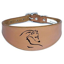 Dog Collar Italian Greyhound Collar Whippet Collar Greyhound Collar Padded Backing D12 (17-21 Inch (43cm-53cm), Tan)