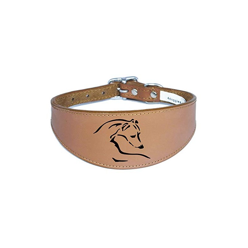 Dog Collar Italian Greyhound Collar Whippet Collar Greyhound Collar Padded