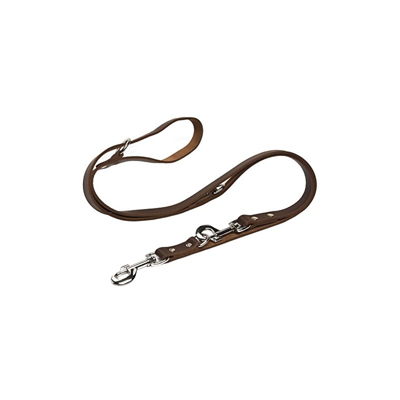 Beeztees Training Leash, 200 cm x 12 mm, Brown
